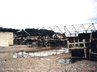 Dvor September 1995 - 383